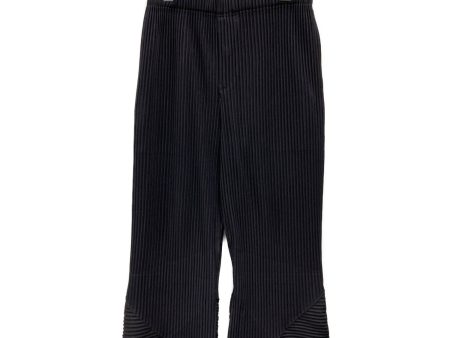 [Pre-owned] HOMME PLISSE ISSEY MIYAKE STEM PANTS HP31JF198 For Cheap